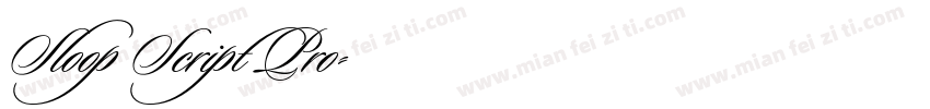 Sloop Script Pro字体转换